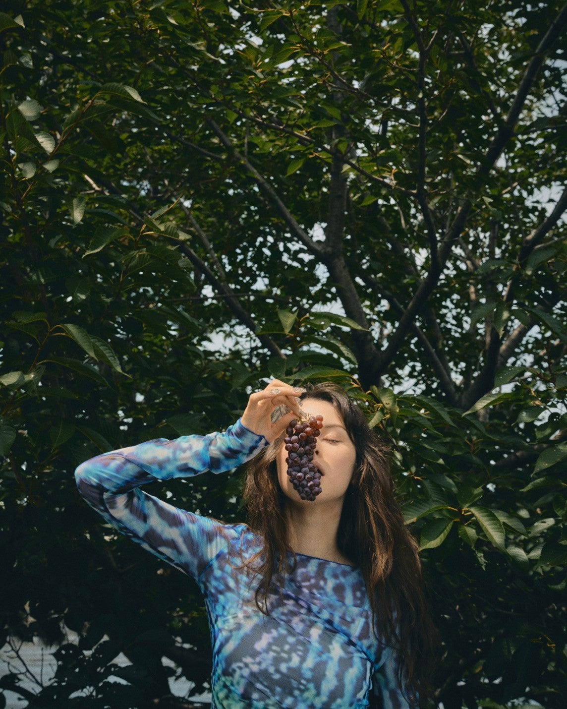 Mple Ⅱ